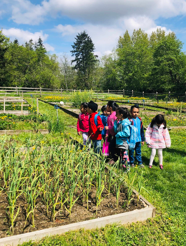 Field trip exploring a community vegetable garden